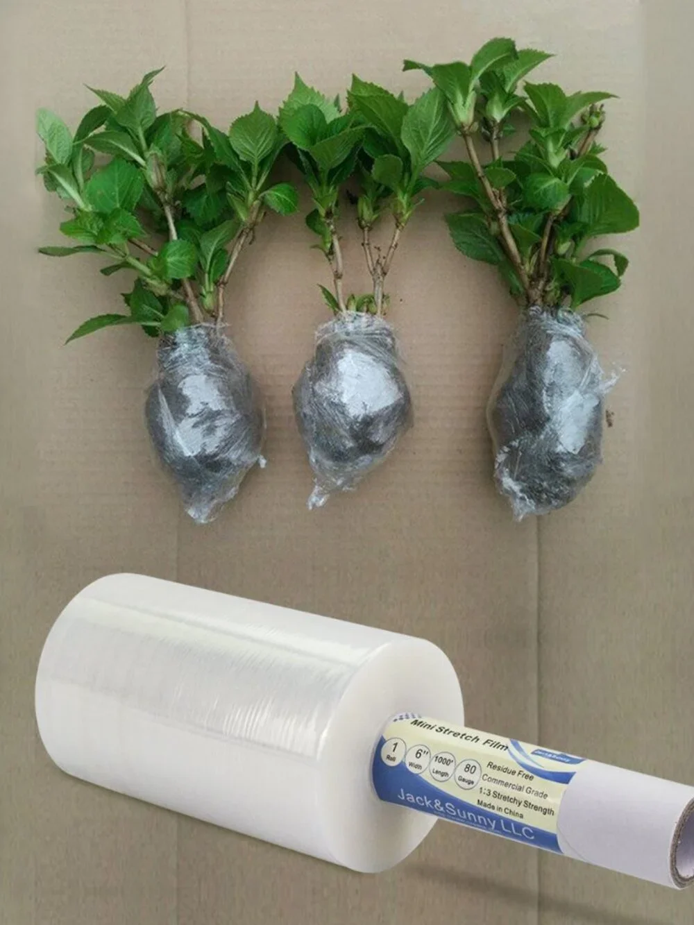 Clear Stretch Wrap 6